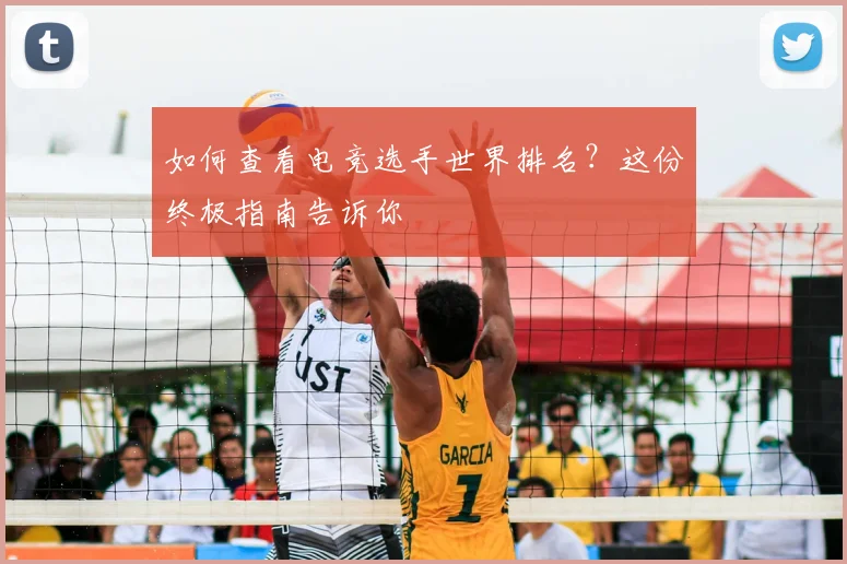如何查看电竞选手世界排名？这份终极指南告诉你