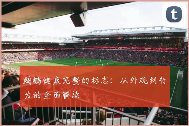 鹈鹕健康完整的标志：从外观到行为的全面解读