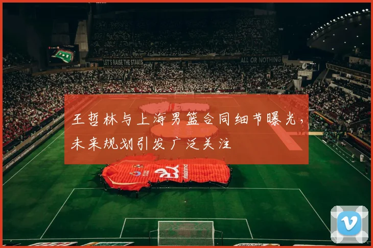 王哲林与上海男篮合同细节曝光，未来规划引发广泛关注