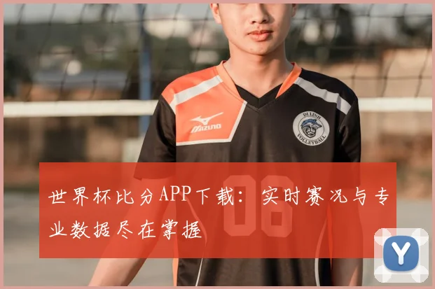 世界杯比分APP下载：实时赛况与专业数据尽在掌握