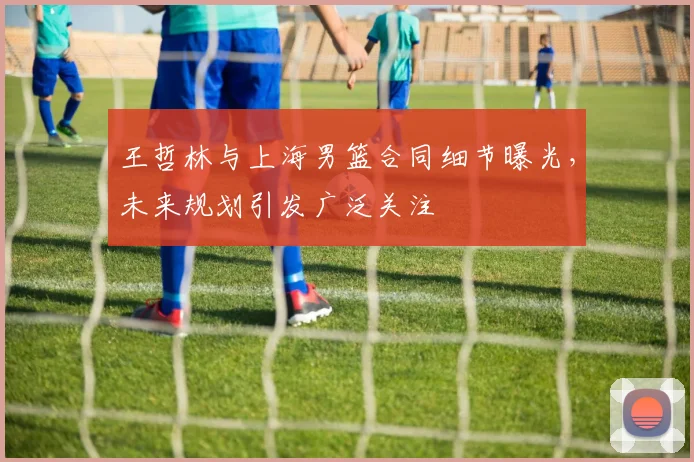 王哲林与上海男篮合同细节曝光，未来规划引发广泛关注